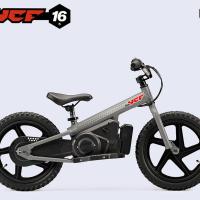 24 miniycf 16rd zoom