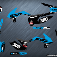 Erz 300 cyan web