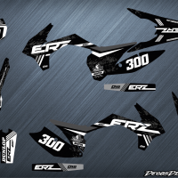 Erz 300 holo avec effets web