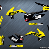 Erz 300 jaune web