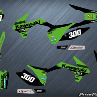 Erz 300 kawasaki web