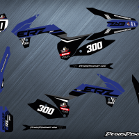Erz 300 s bleu web