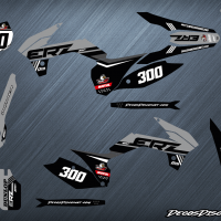 Erz 300 s gris web