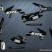 Erz 300 s noir web