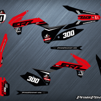 Erz 300 s rouge web