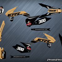 Erz 300 s sable web