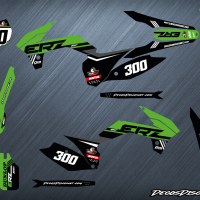 Erz 300 s vert web