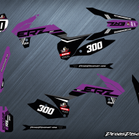 Erz 300 s violet web