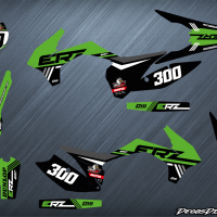 Erz 300 vert web