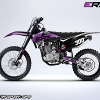 Erz 300cc stripe violet 2