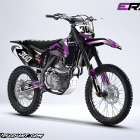 Erz 300cc stripe violet