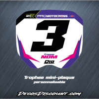 Miniature trophee