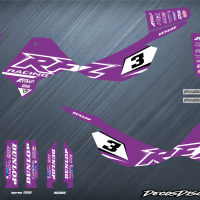 Rfz d10 logo ok tr large violet web